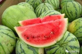 51cg热门今日吃瓜,娱乐圈最新“瓜”事盘点